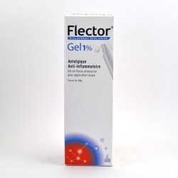 FLECTOR 1% GEL FLACON 100G