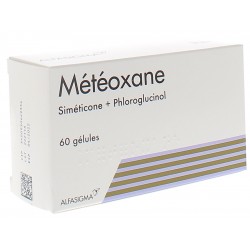 METEOXANE 60 GELULES