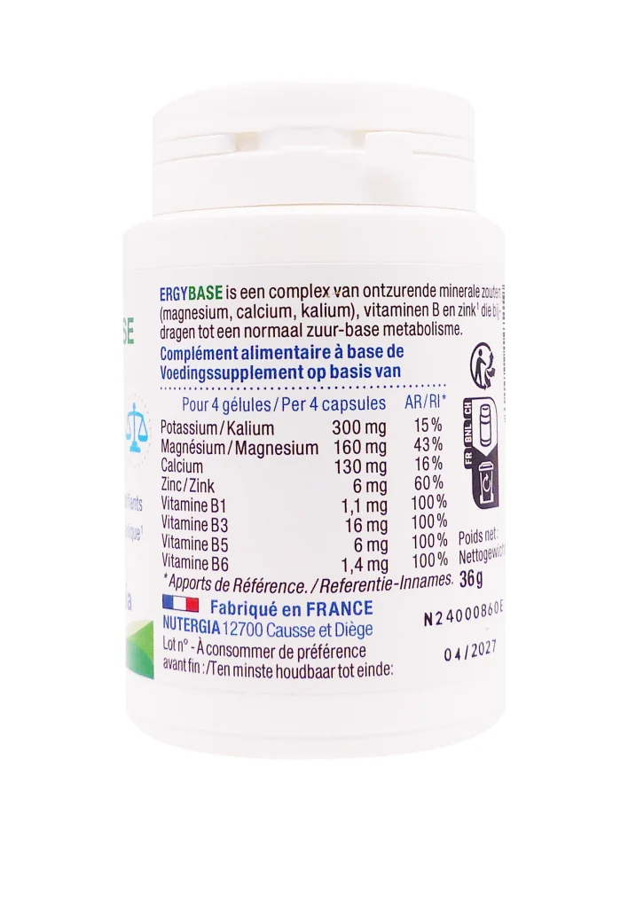 dos ergybase