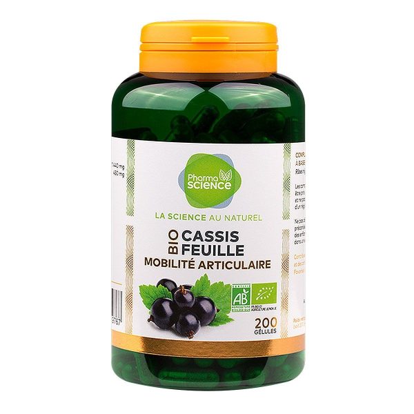 PHARMASCIENCE CASSIS FEUILLE BIO 200 GELULES