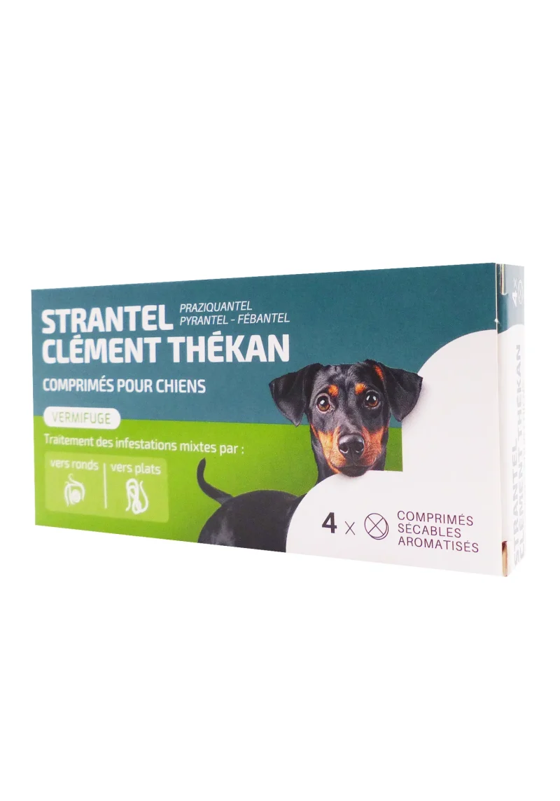strantel clément thékan 4 comprimes sécables