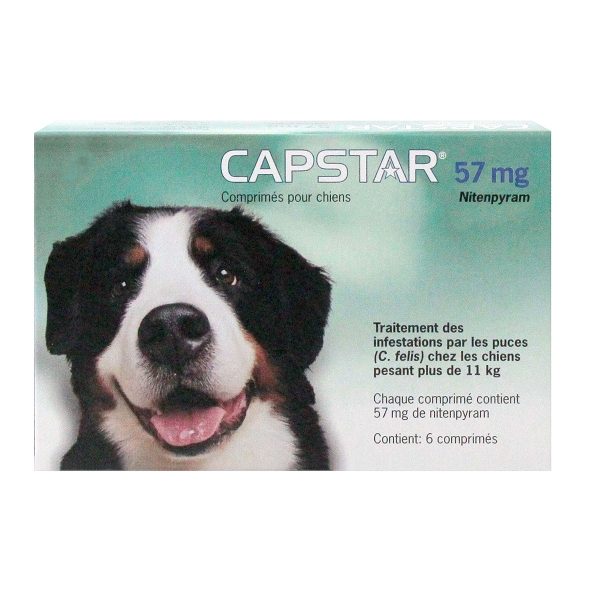 Capstar pour chien traitement anti puces en comprimés