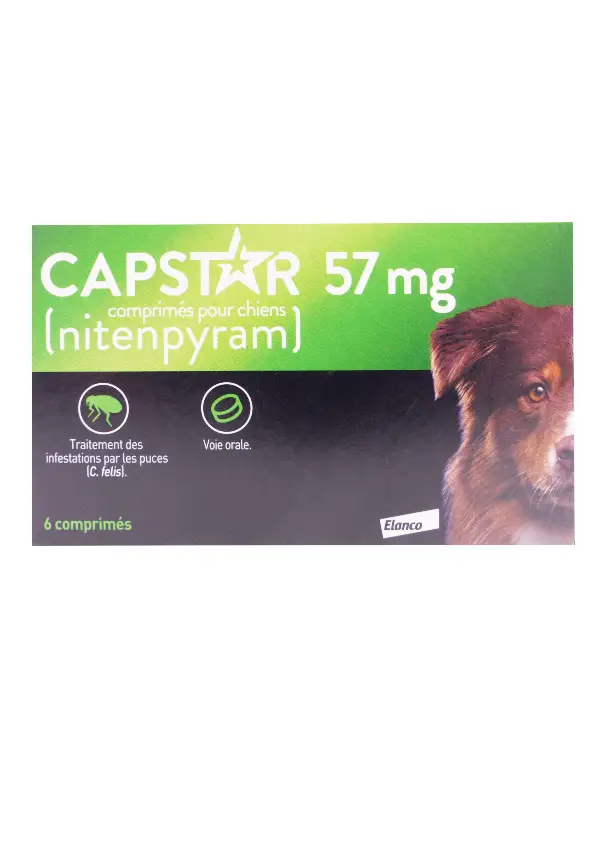 capstar 57 mg chiens 6 cp