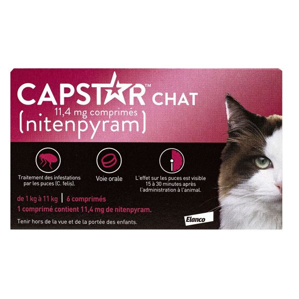 Capstar Chat comprimé anti puce 6 comprimés