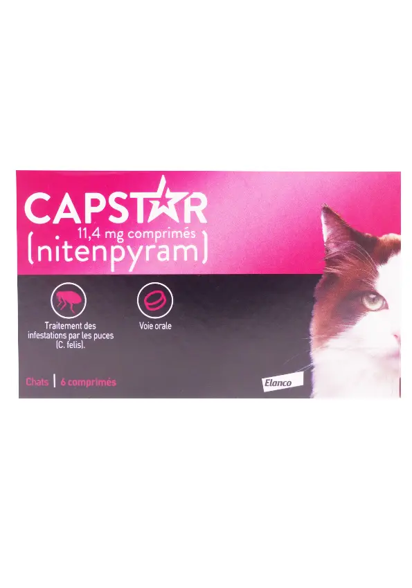 capstar chat