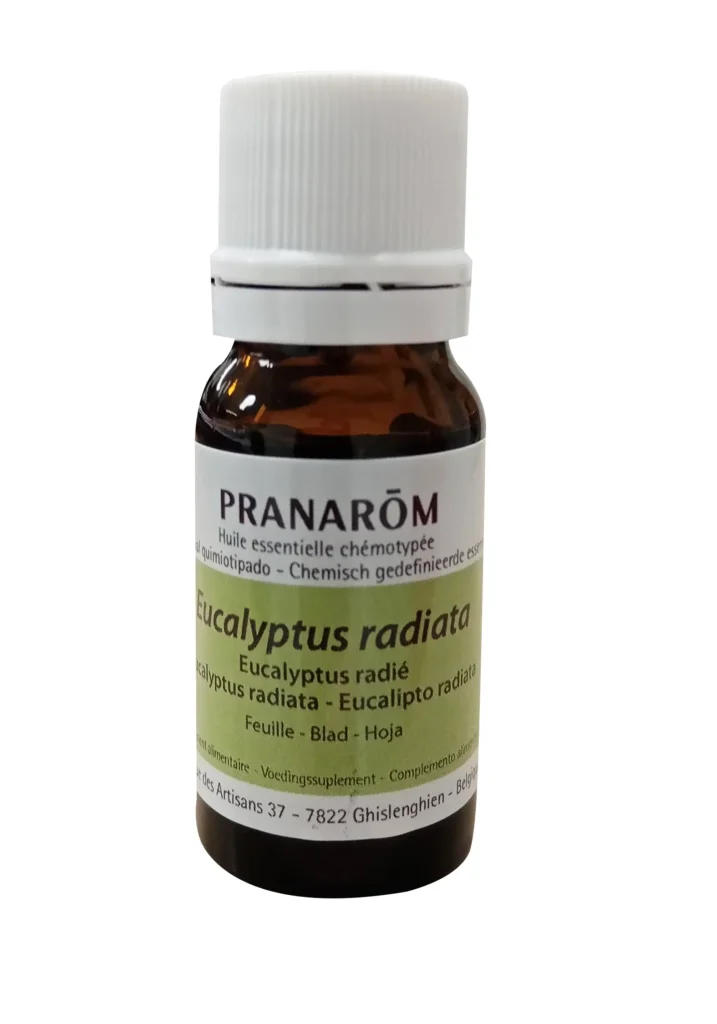 Prana eucalyptus radiata prod