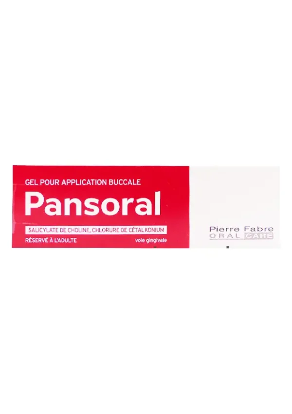 pansoral gel pour application buccal