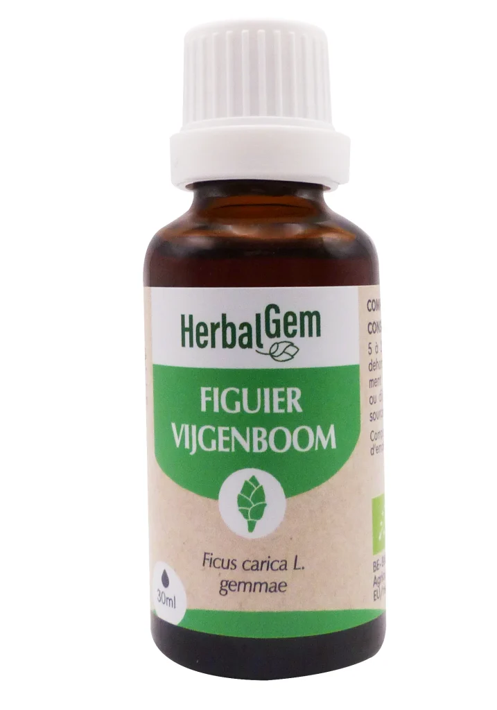 HERBALGEM MACERAT FIGUIER BOURGEONS 30ML 3 figuier flacon