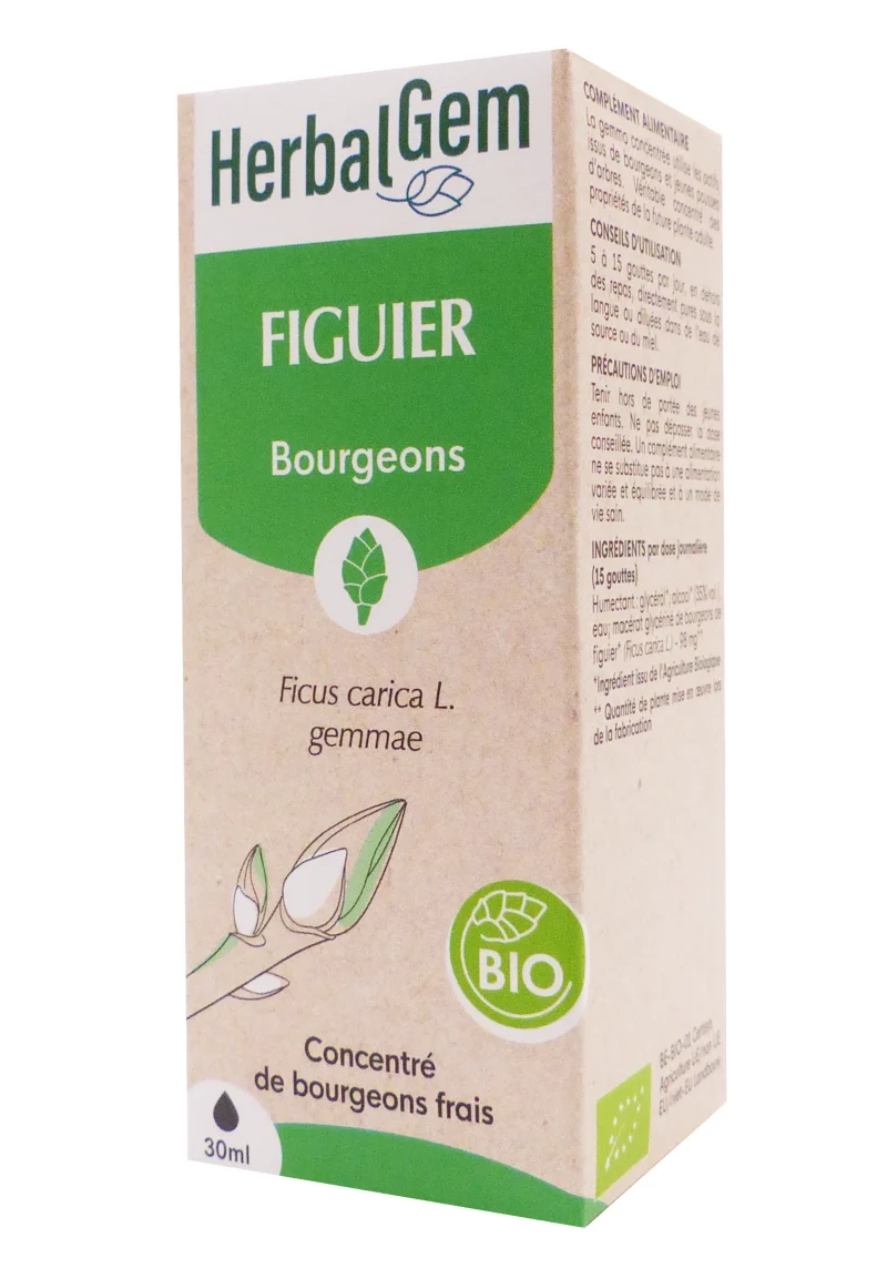 herbalgem figuier bourgeons