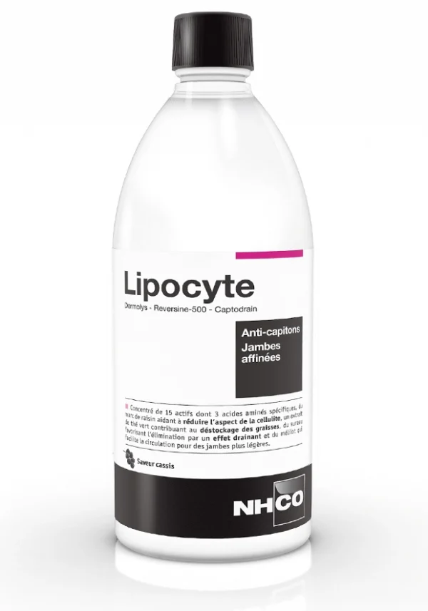 lipocyte