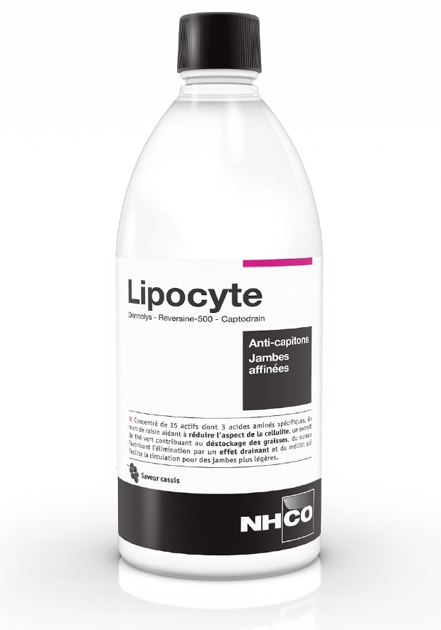 lipocyte