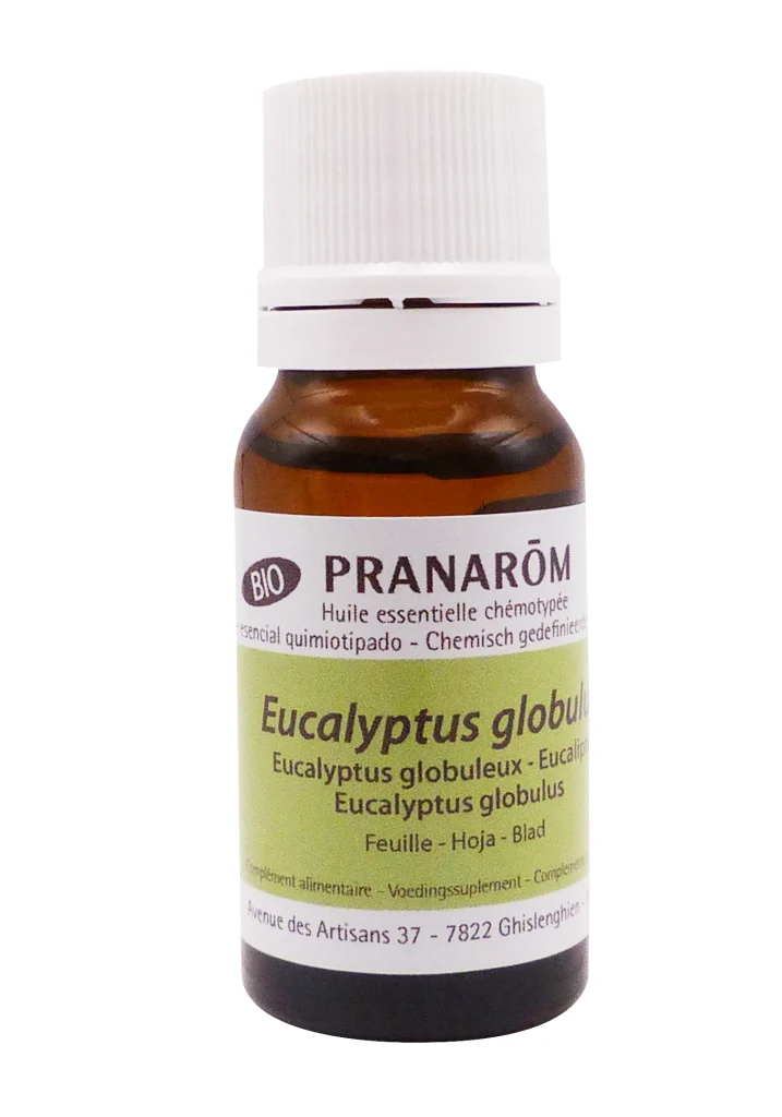 PRANAROM HUILE ESSENTIELLE BIO EUCALYPTUS GLOBULEUX 10ML 3 pranarom eucalyptus globuleux bio flacon