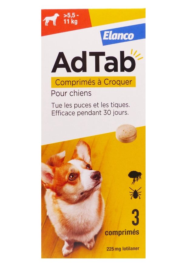 adtab chiens sup 5.5 kg