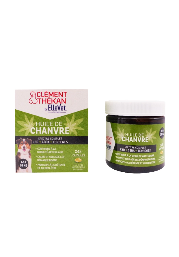 huile de chanvre thekan