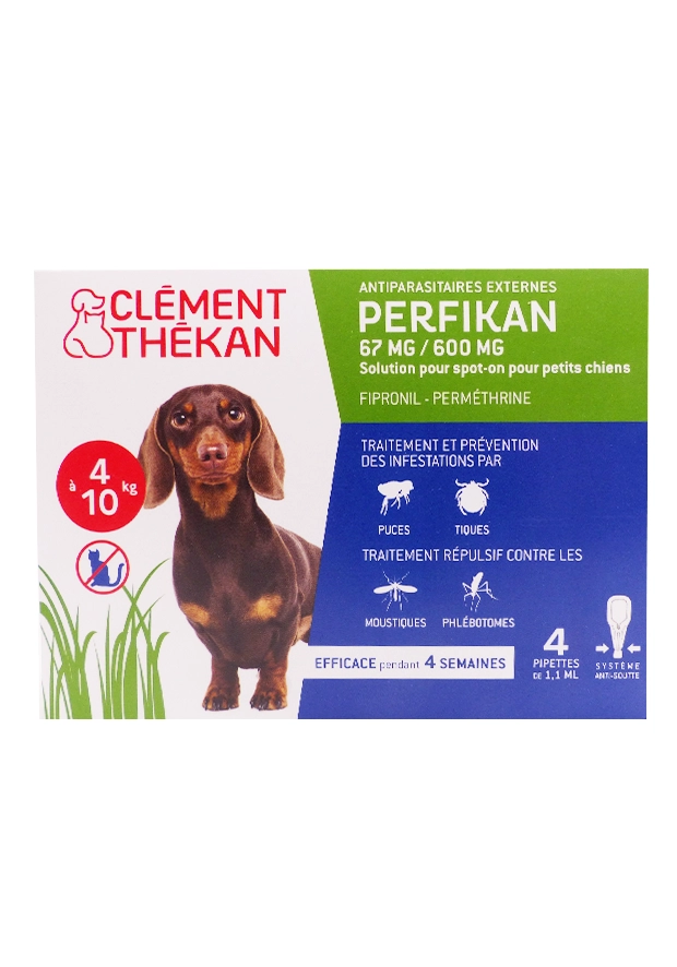 perfikan chien 4 a10 kg