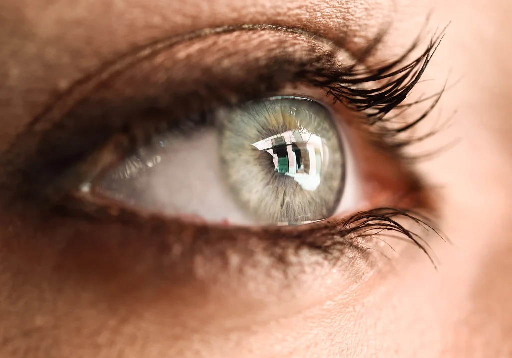 Orgelet : Tout ce qu’il faut savoir pour le reconnaître, le traiter et le prévenir 1 oeil article orgelet