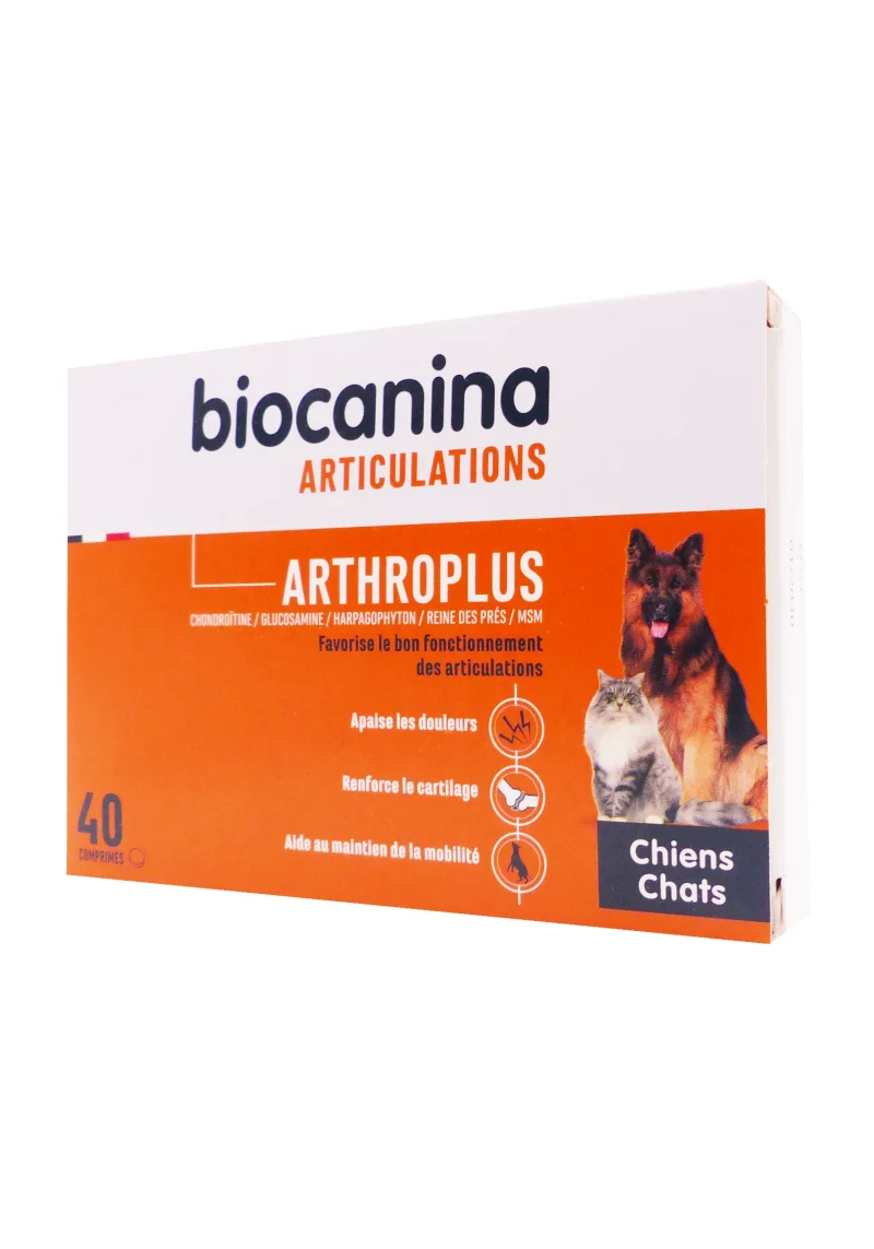 arthroplus
