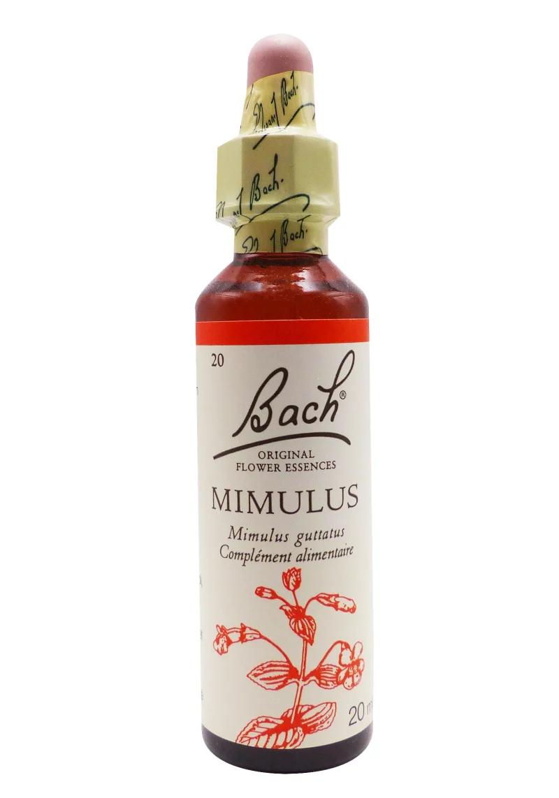 bach mimulus