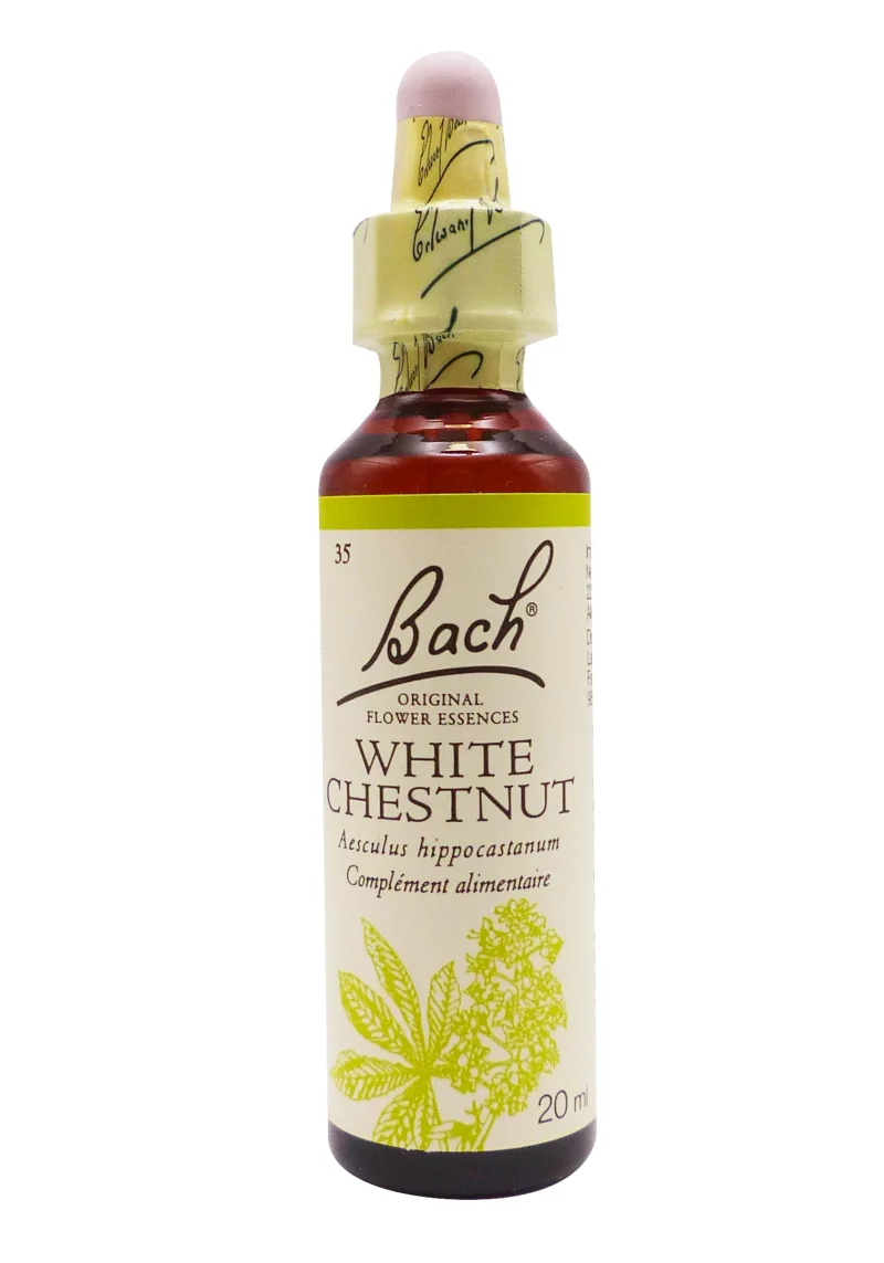 bach white chestnut