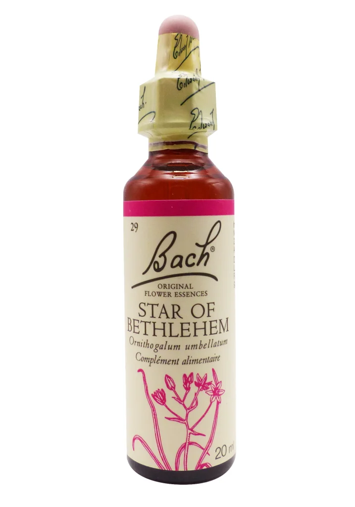 FLEURS BACH STAR OF BETHLEHEM FLACON COMPTE GOUTTES 20ML 2 star of bethlehem 1