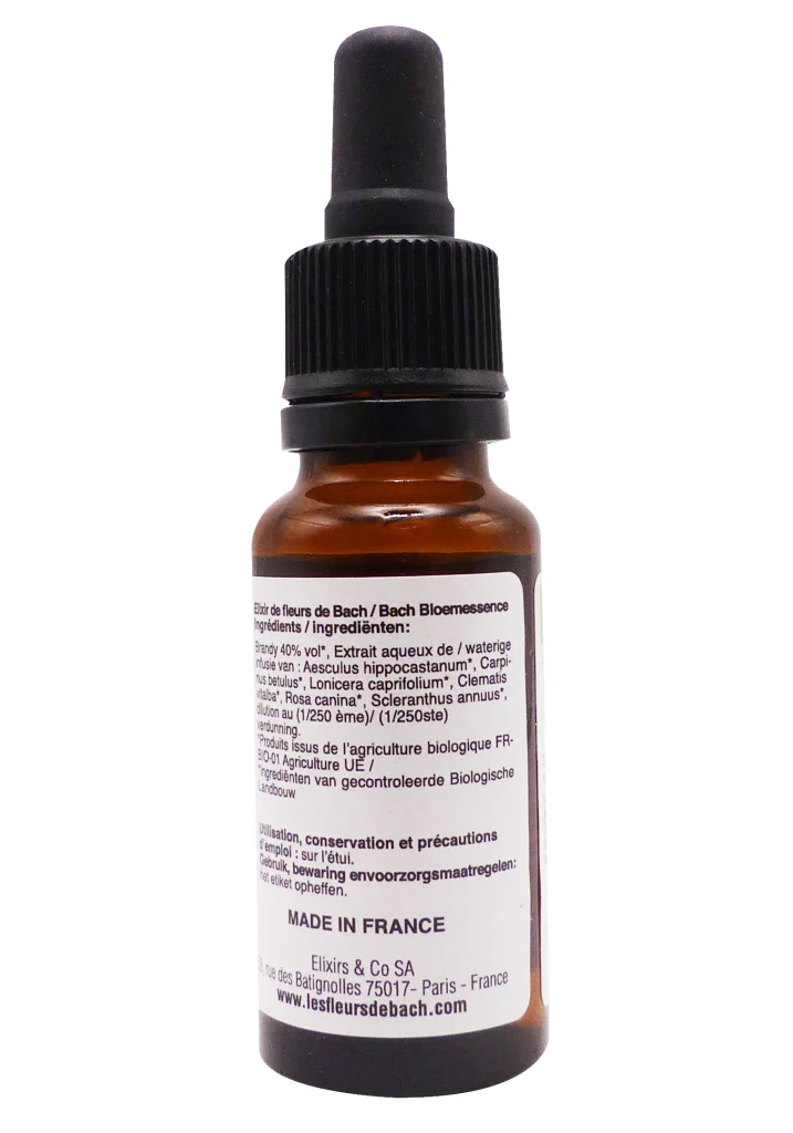 dos fleur de bach 2