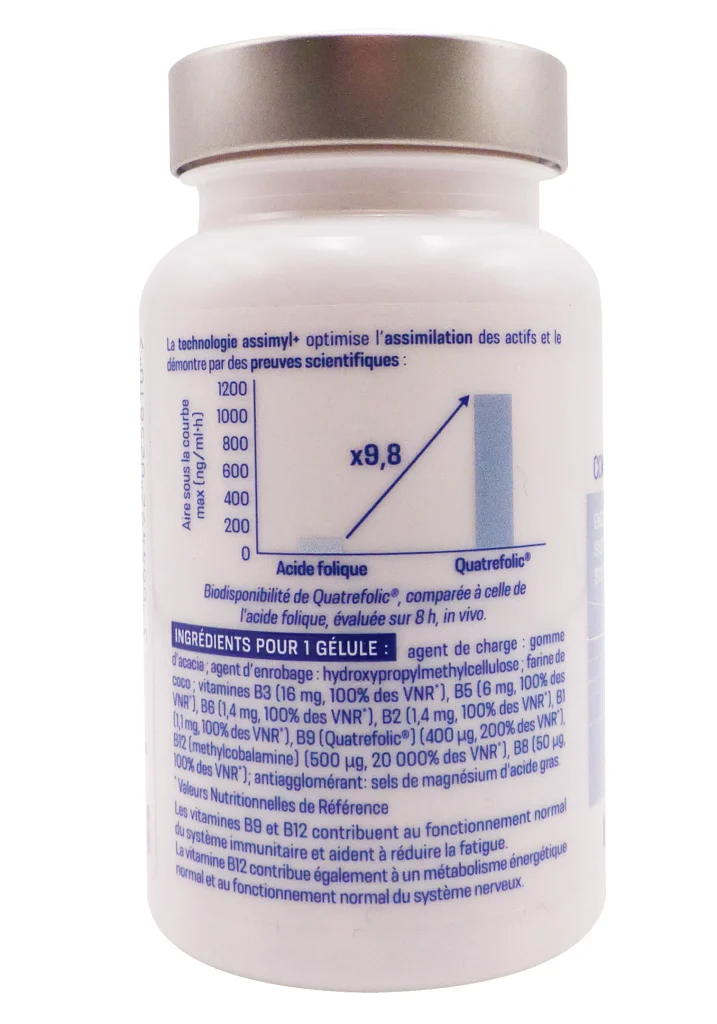 ALVITYL ASSIMYL COMPLEX VITAMINES B 60 GELULES 3 dos alvityl 3